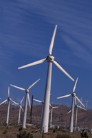 Windmills tap the wind's power